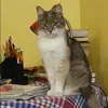 Отзыв от Жанна Чистякова